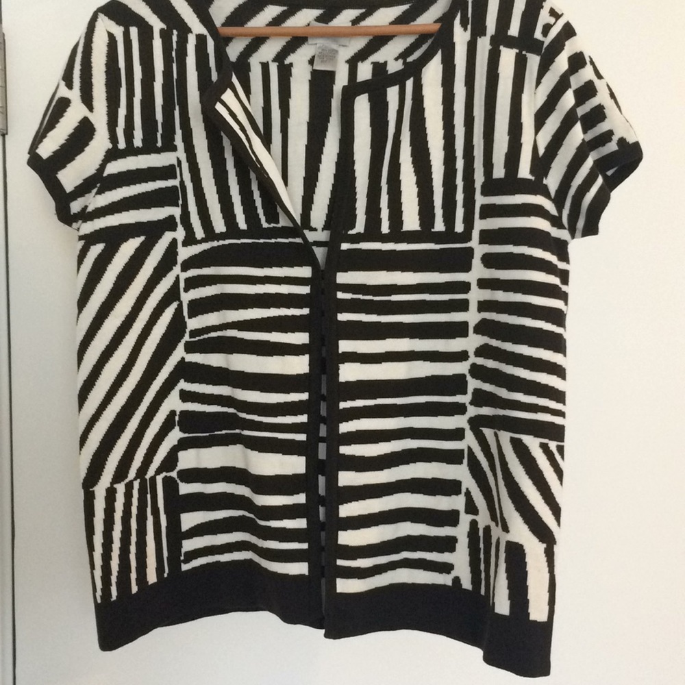 Chicos Sweater
